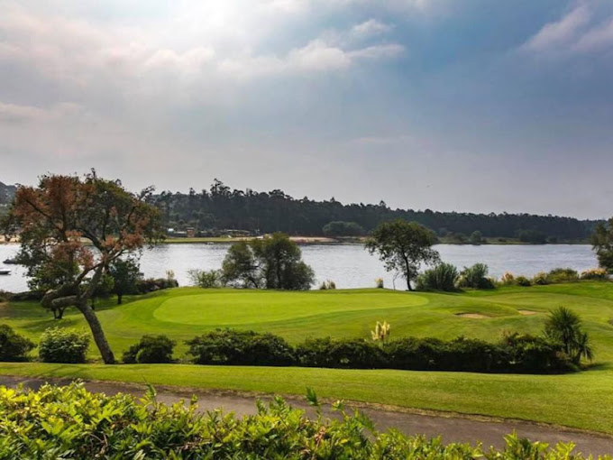 100508795_113827317009946_1424954283480055808_o