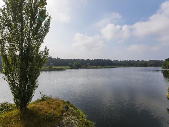 100773856_113827560343255_1228925125617778688_o