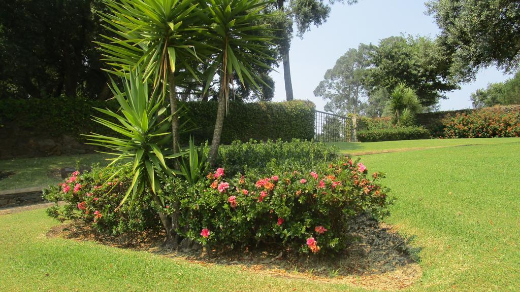 quinta-da-barca-house-19-holiday-home-esposende-photo-18